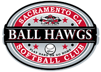 Custom Logo for Softball Jersey Shirts